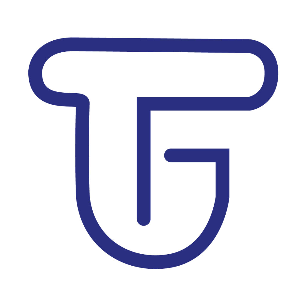 Identité visuelle et site internet du cabinet de conseil en finance Teragram par Lagraphista, studio graphique parisien