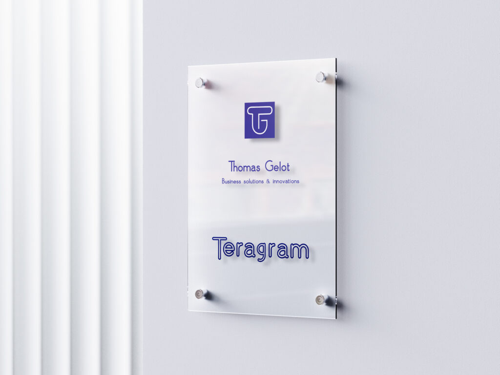 Identité visuelle et site internet du cabinet de conseil en finance Teragram par Lagraphista, studio graphique parisien