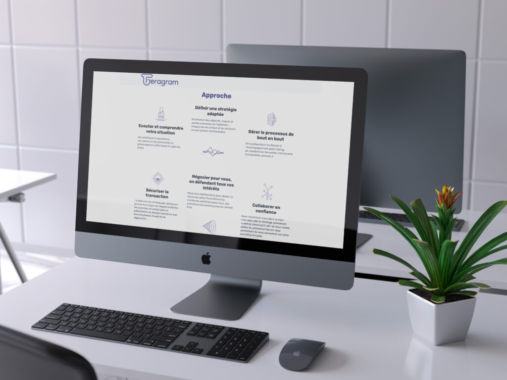Identité visuelle et site internet du cabinet de conseil en finance Teragram par Lagraphista, studio graphique parisien